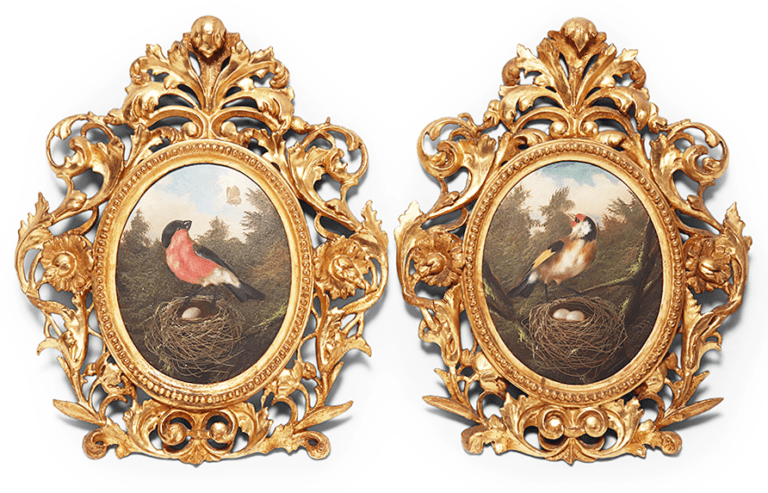 Bird Paintings